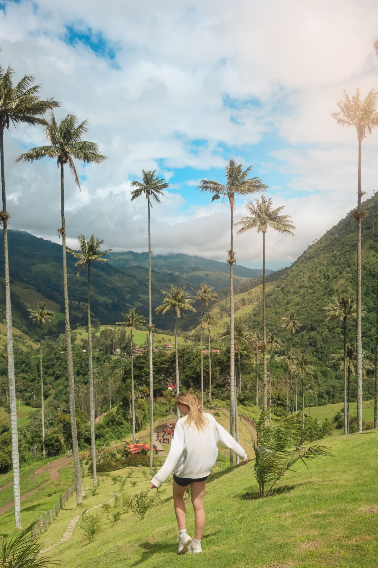 Cocora Valley in Colombia with towering wax palm trees surrounded by lush green mountains