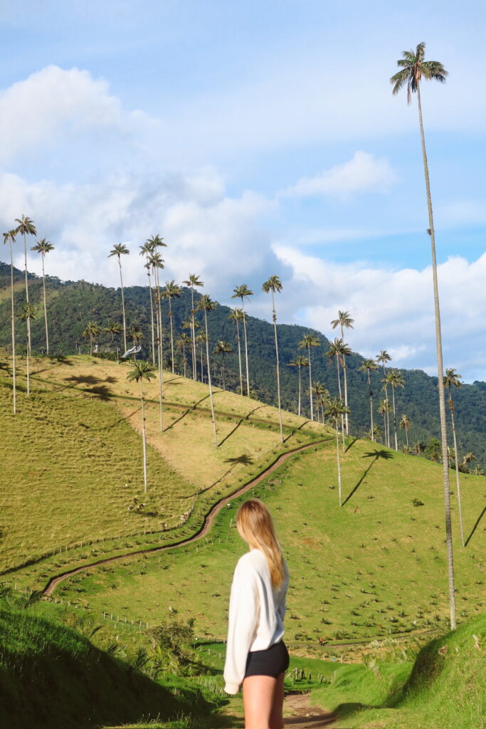 Traveler standing among towering wax palm trees in Cocora Valley, Colombia