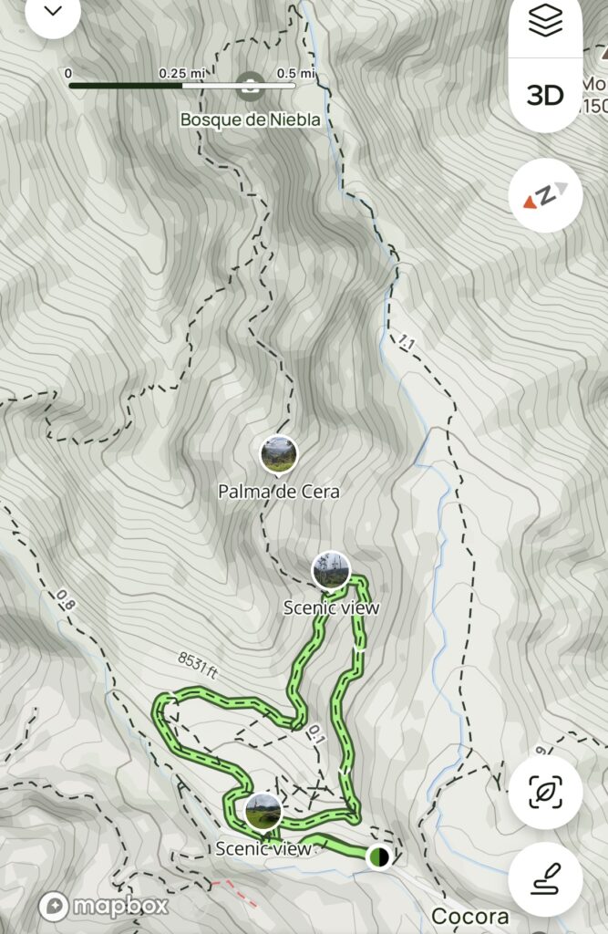 Map of the short hiking trail in Cocora Valley, Colombia, highlighting the main path and viewpoints