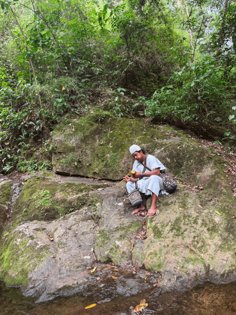Local indigenous guide sharing traditional knowledge and culture in Minca, Colombia