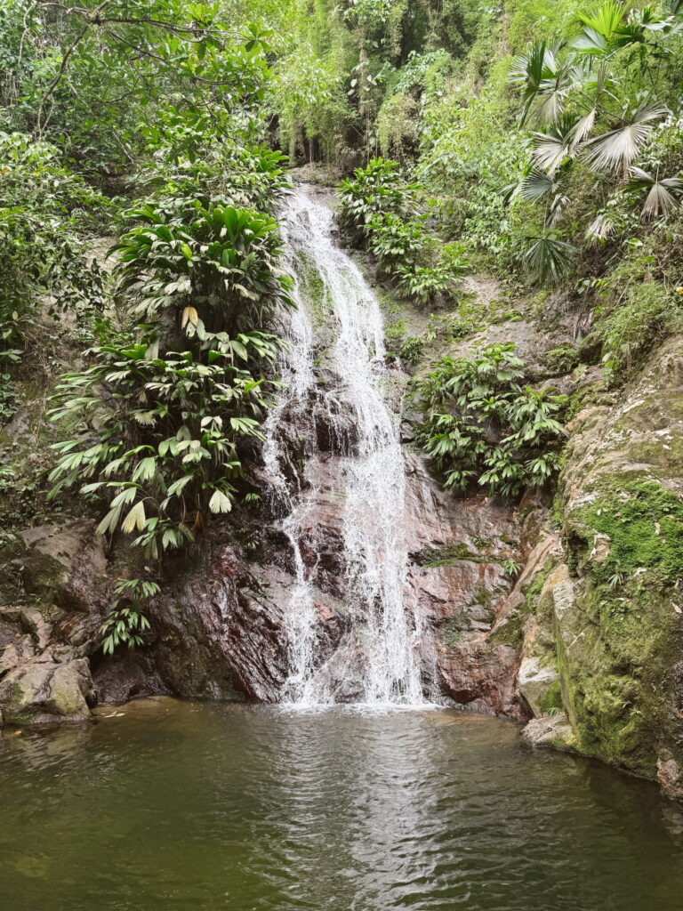Cascada de Marinka waterfall in Minca surrounded by lush jungle, perfect for a refreshing swim