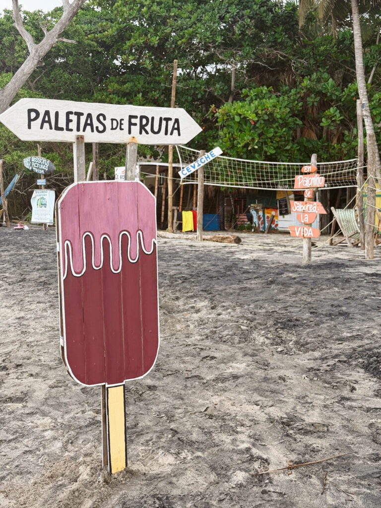 Palomino beach in Colombia with palm trees, soft sand, and relaxed beach vibe. Best Things to do in Palomino