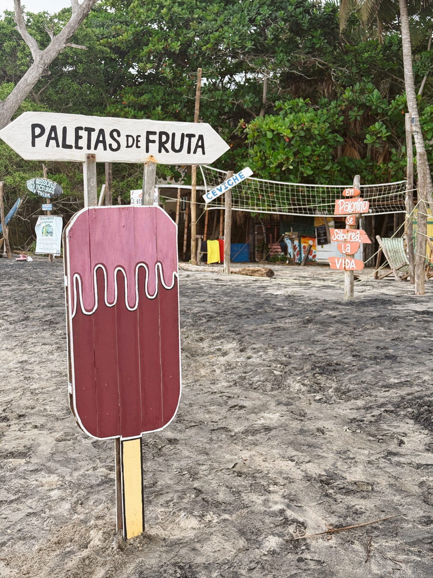 Palomino beach in Colombia with palm trees, soft sand, and relaxed beach vibe. Best Things to do in Palomino