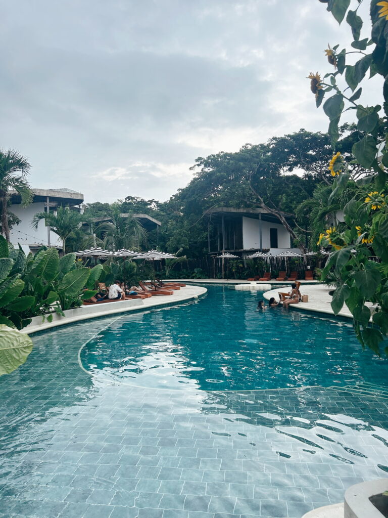 Pool at a hostel in Palomino, Colombia, surrounded by palm trees and sun loungers