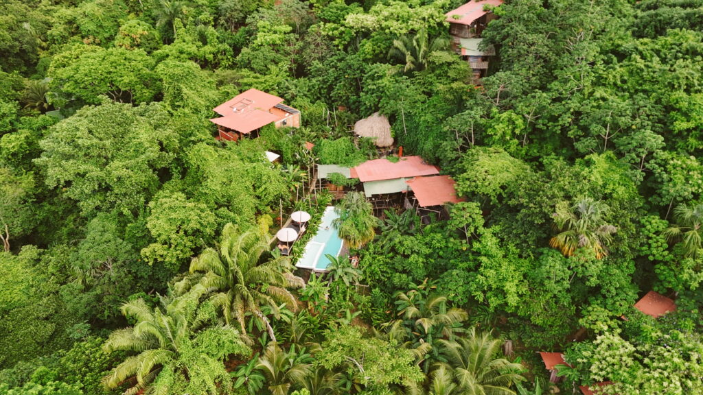 Jungle pool at The Valley Tayrona Hostel near Tayrona National Park surrounded by forest