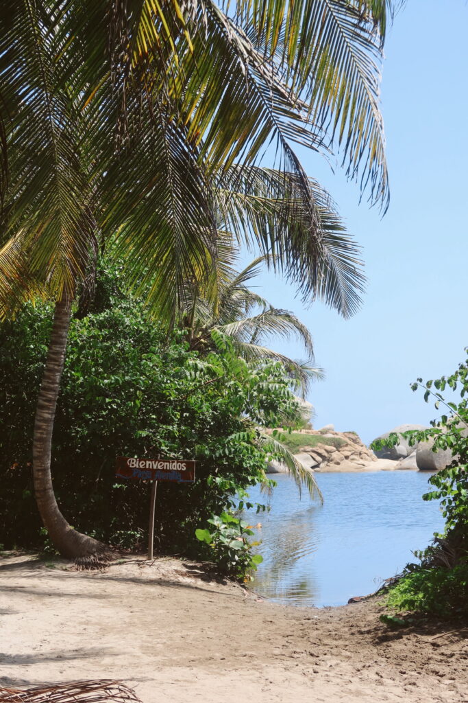 Jungle trail leading to a beach inside Tayrona National Park, Colombia