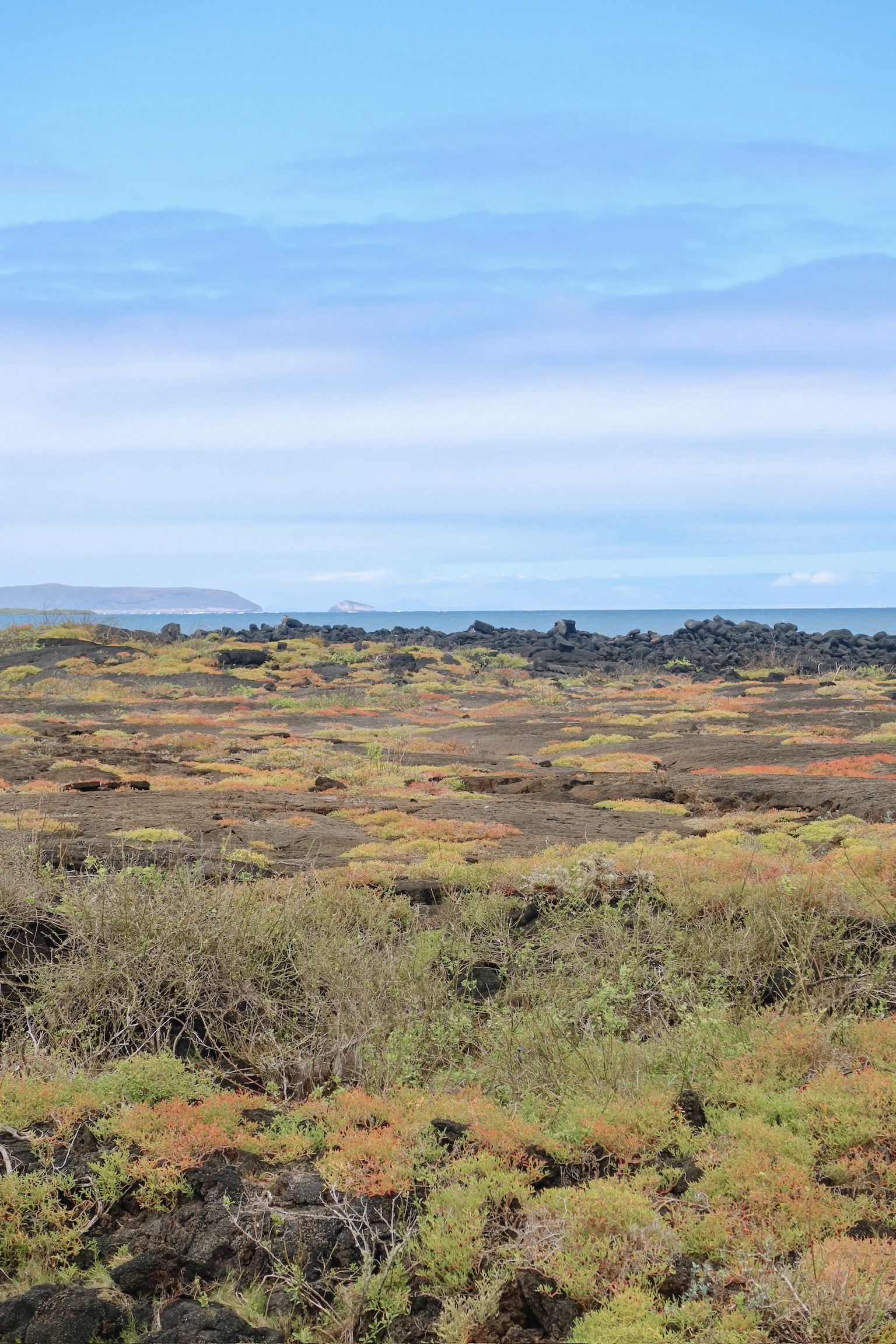 Scenic panoramic views over the vast green wilderness and untouched volcanic coastline from the top of a stone lookout hill.