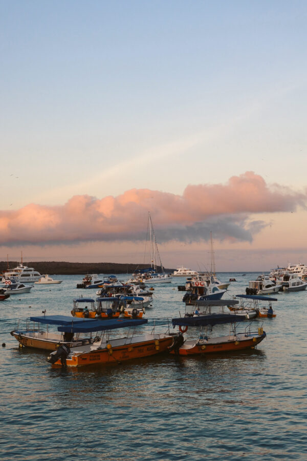 A golden sunset glowing over the ocean harbour filled with anchored local tour boats and water taxis near the main pier.