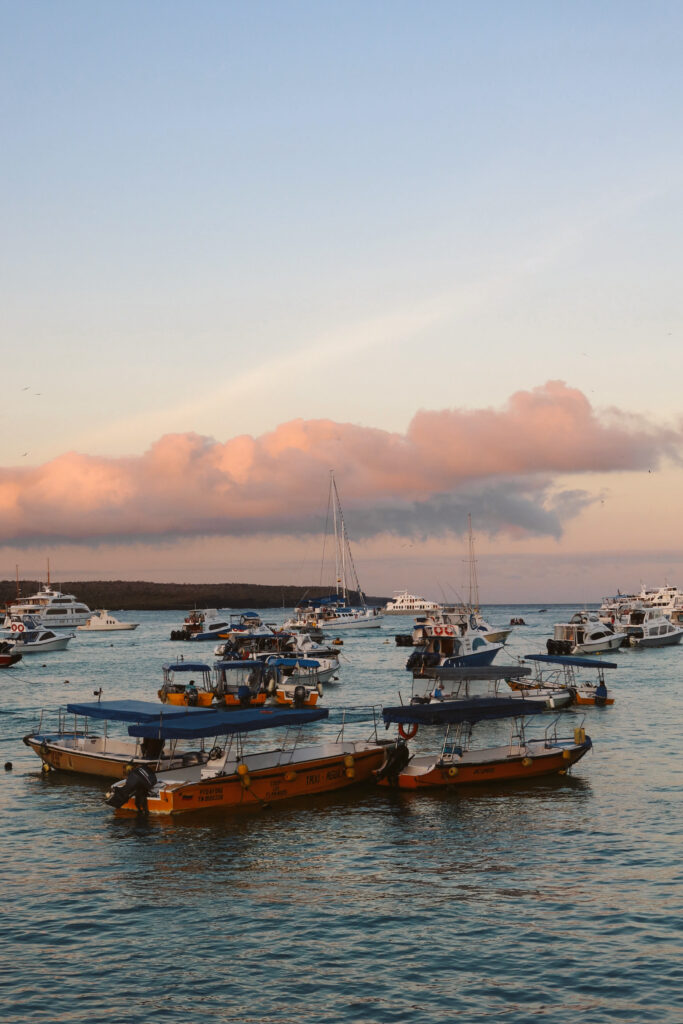 A golden sunset glowing over the ocean harbour filled with anchored local tour boats and water taxis near the main pier.