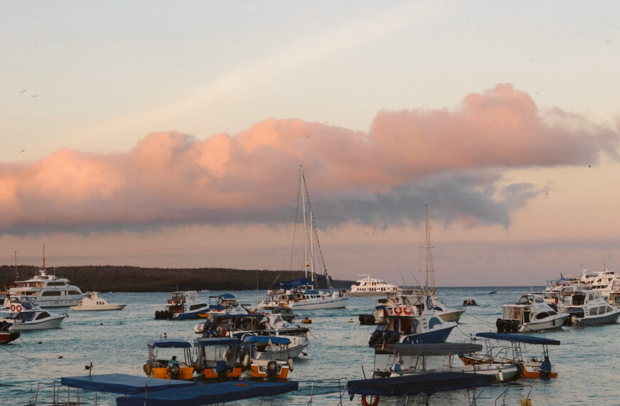 A golden sunset glowing over the ocean harbour filled with anchored local tour boats and water taxis near the main pier.