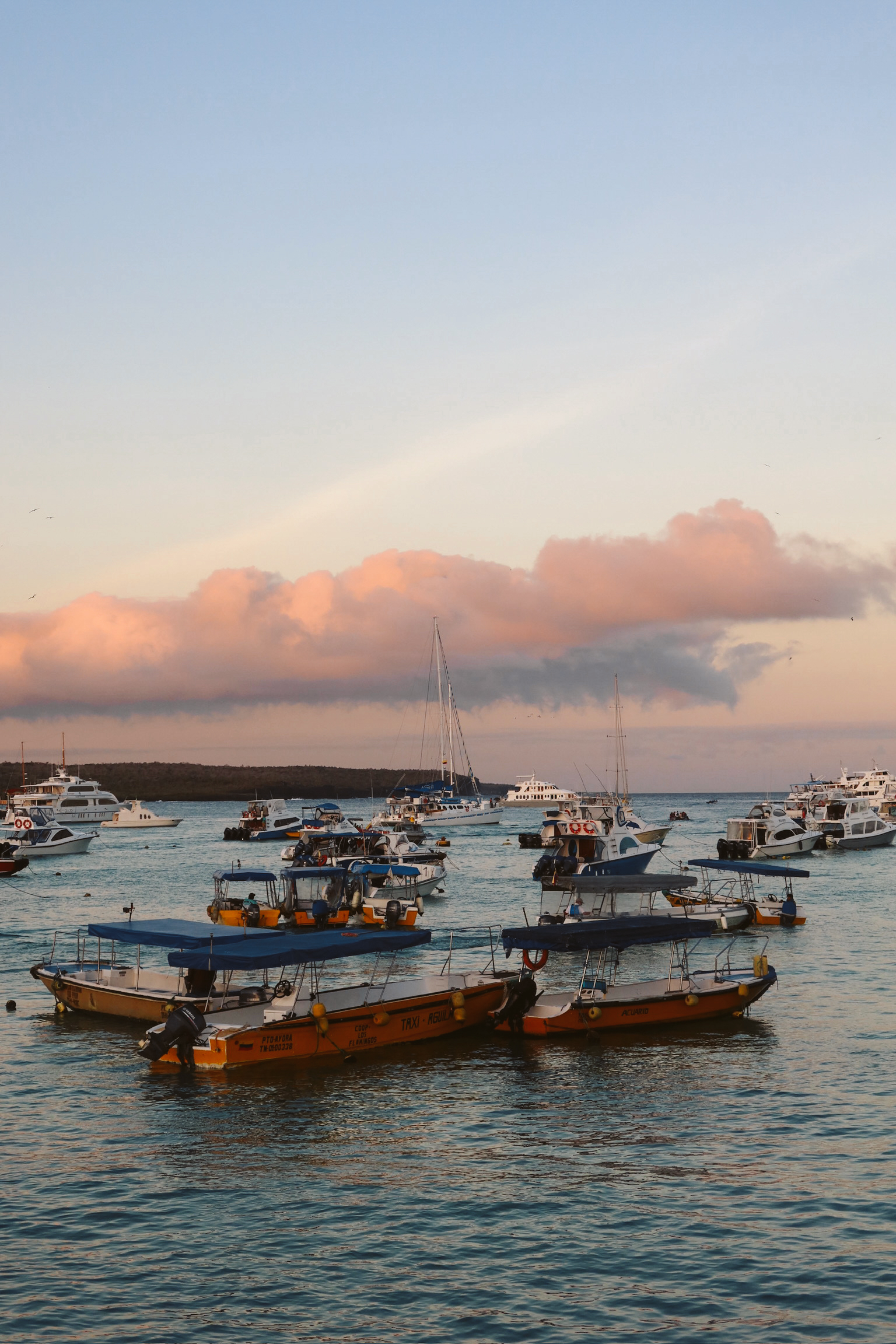One of the best things to do in Santa Cruz Galapagos is watch a golden sunset glowing over the ocean harbour filled with anchored local tour boats and water taxis near the main pier.