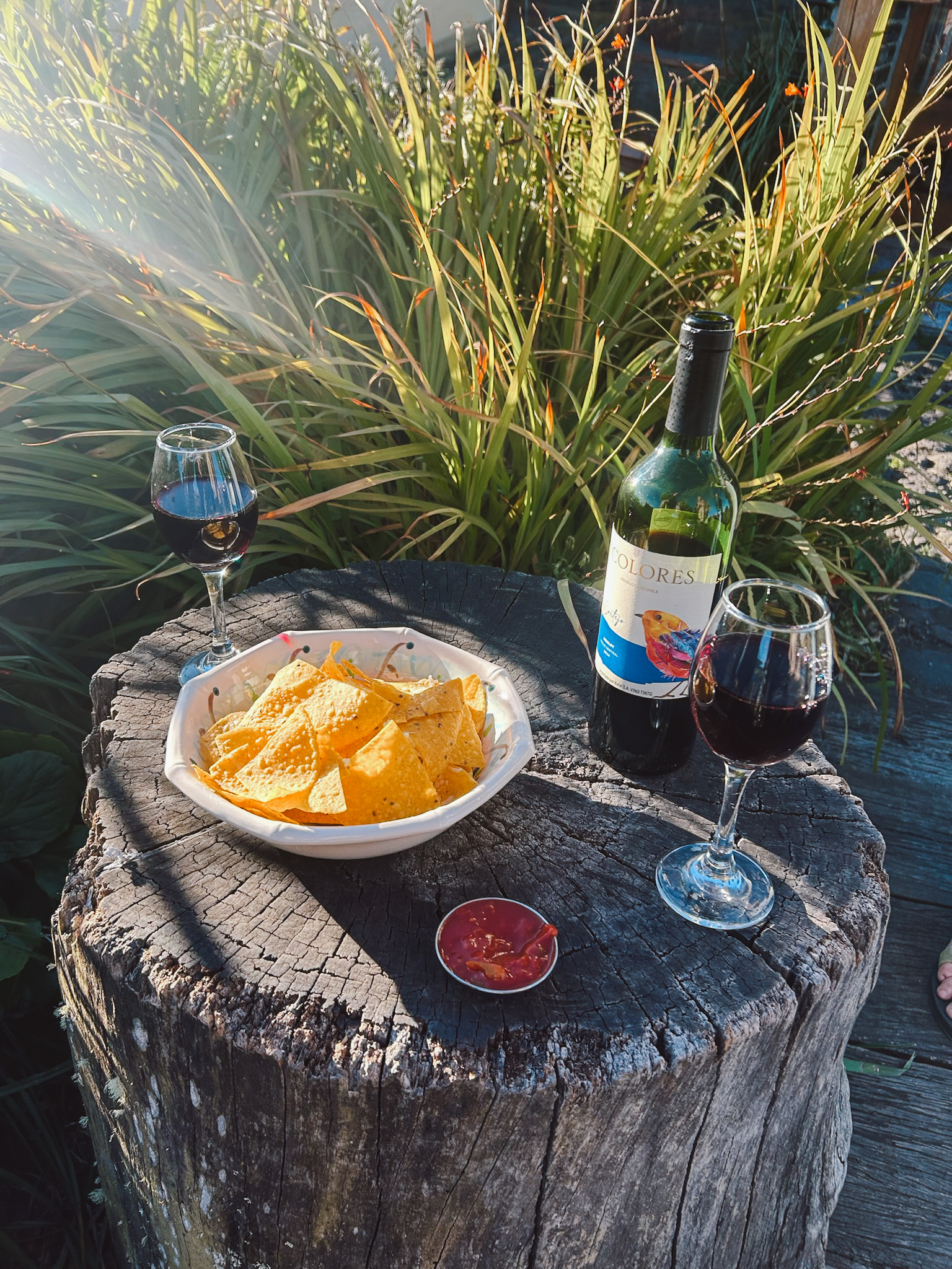 A rustic wooden platter filled with cheap local cheeses, crackers and fruit sitting next to 2 glasses of red wine by a stone fireplace.