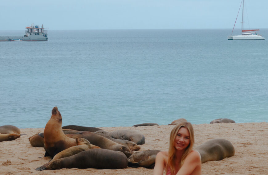 a backpacker sitting on the sand at Playa Mann beach on San Cristobal Island right next to a colony of wild Galapagos Sea Lions sunbathing.