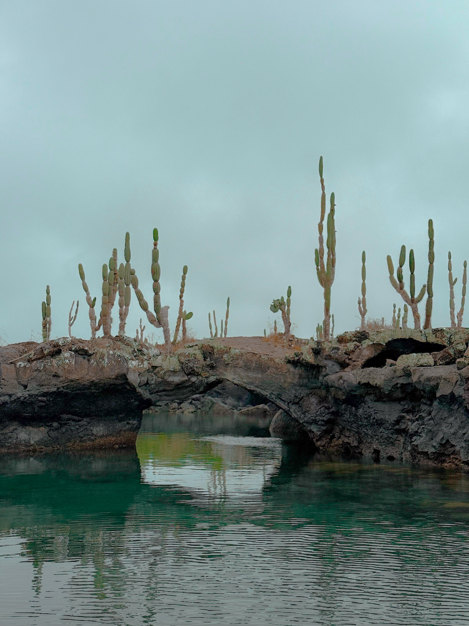 Natural volcanic rock arches with growing cacti on the Los Tuneles tour in Isabela Island.
