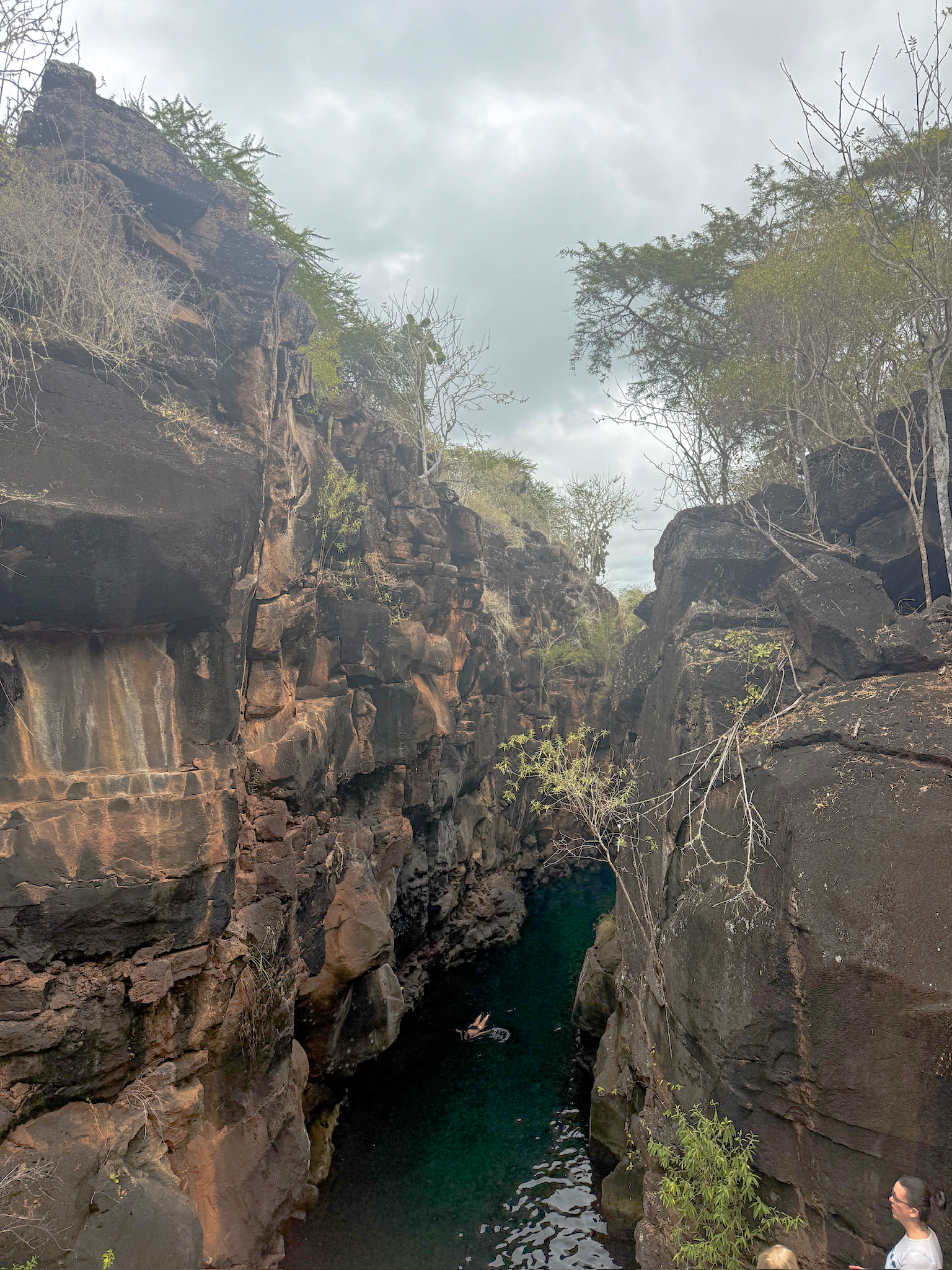 The dramatic rock canyon walls and clear turquoise water of Las Grietas in Santa Cruz